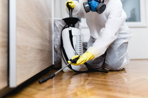 Best Exterminator Services  in Rosenberg, TX