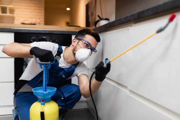 Best Cockroach Control Services  in Rosenberg, TX
