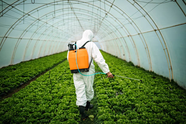 Best Pest Control Near Me  in Rosenberg, TX