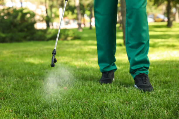 Best Residential Pest Control  in Rosenberg, TX