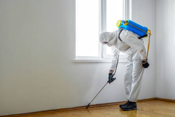 Flea Control Services in Rosenberg, TX