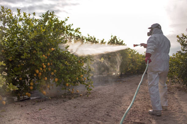 Pest Control Cost in Rosenberg, TX