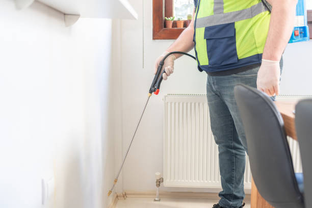 Wasp Removal Services in Rosenberg, TX