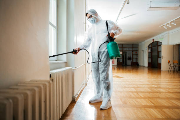 Best Affordable Pest Control Services  in Rosenberg, TX