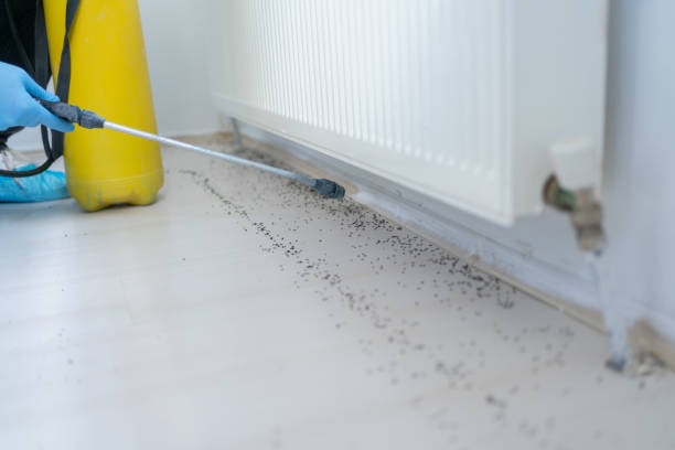 Best Rodent Control Near Me  in Rosenberg, TX