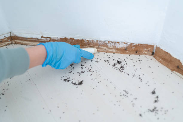 Best Wildlife Control Services  in Rosenberg, TX