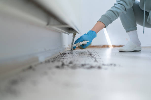 Best Emergency Pest Control  in Rosenberg, TX