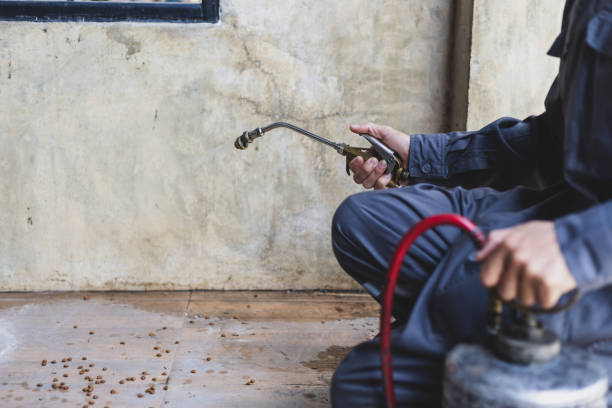 Best Mosquito Control Services  in Rosenberg, TX